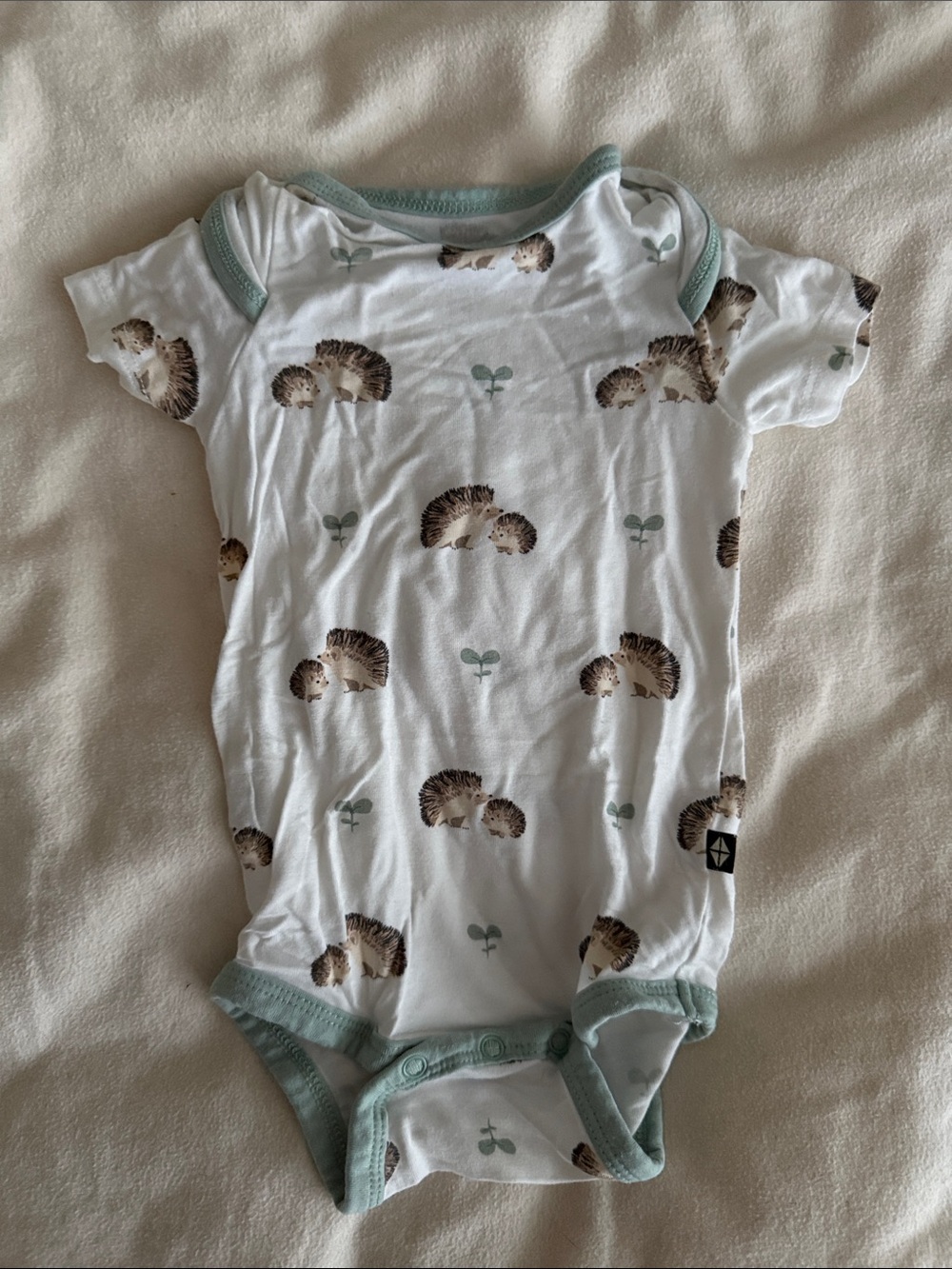 Kyte BABY White One-Piece Bodysuit with Mint Trim and Hedgehog Print